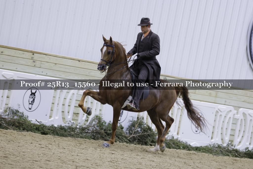Proof Number 25R13_15560