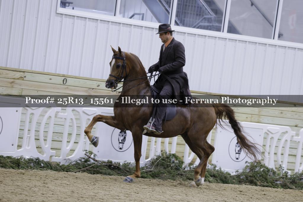 Proof Number 25R13_15561
