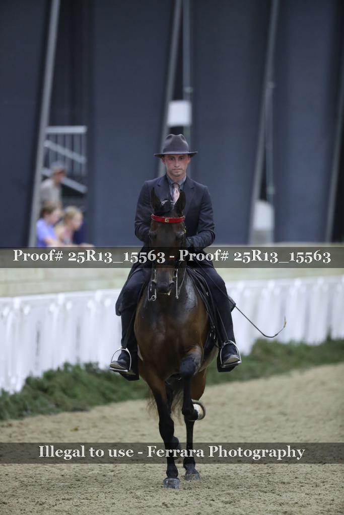 Proof Number 25R13_15563
