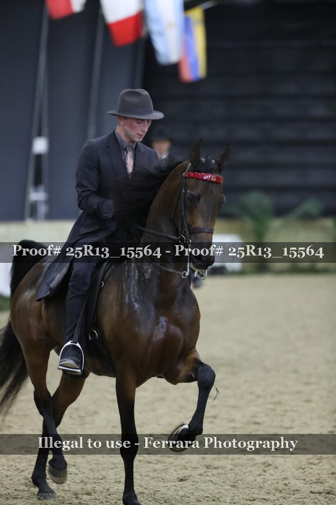Proof Number 25R13_15564