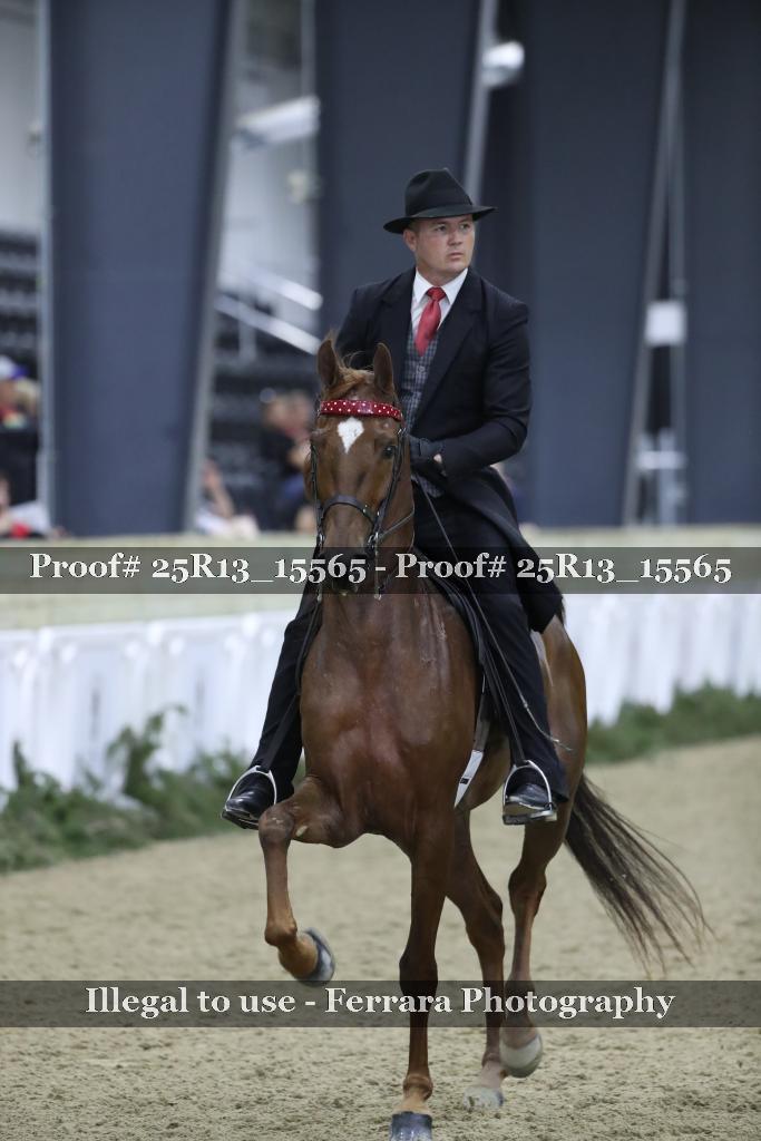 Proof Number 25R13_15565