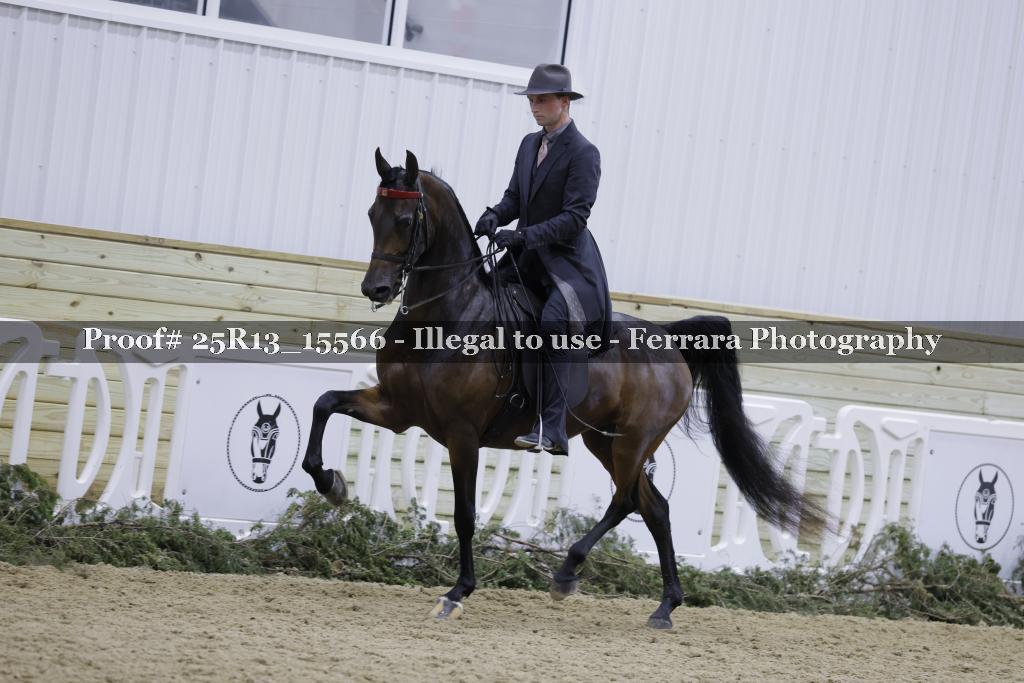 Proof Number 25R13_15566