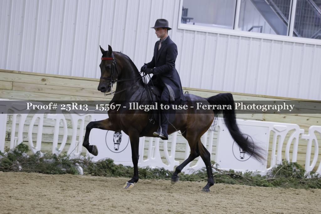 Proof Number 25R13_15567