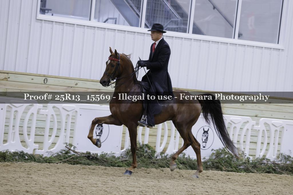 Proof Number 25R13_15569