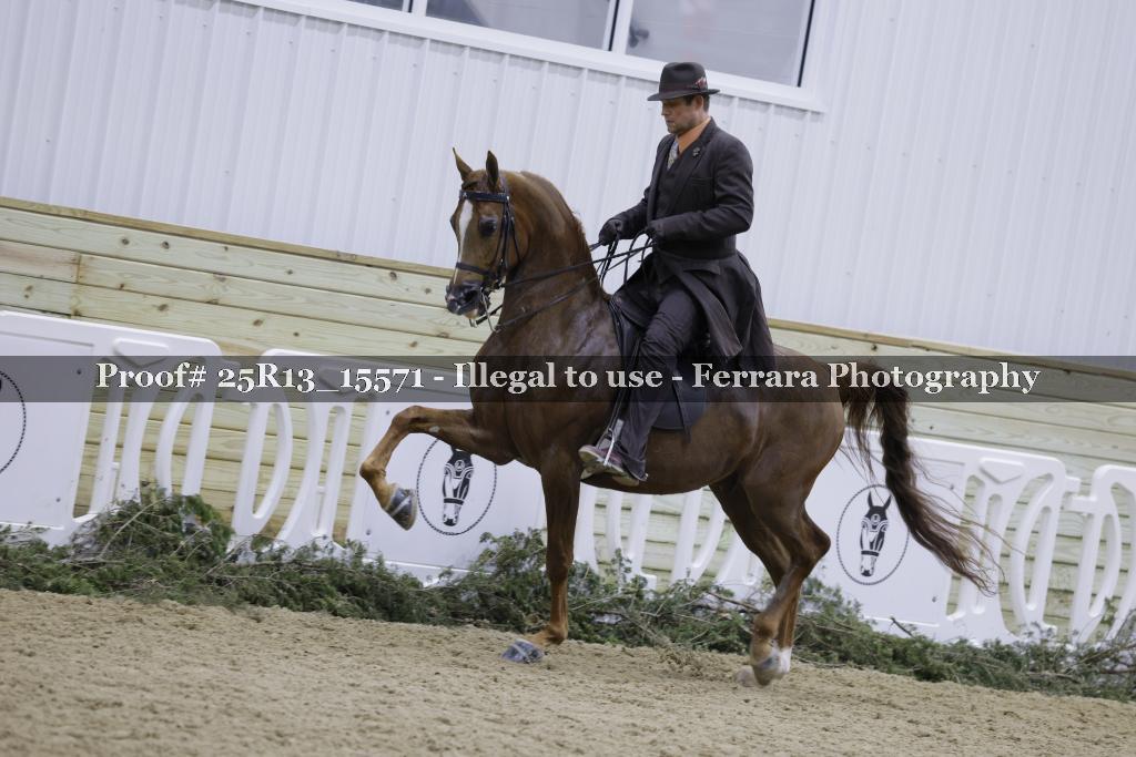 Proof Number 25R13_15571