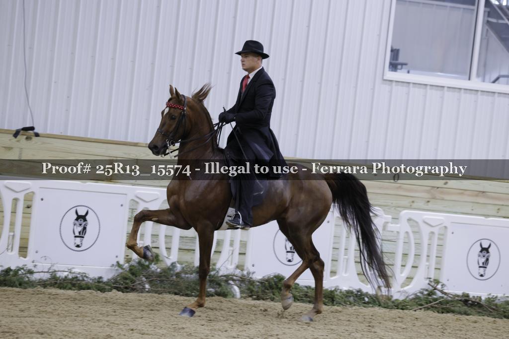 Proof Number 25R13_15574