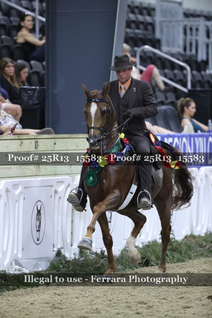 Proof Number 25R13_15583