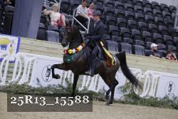 25R13_15588 thumbnail
