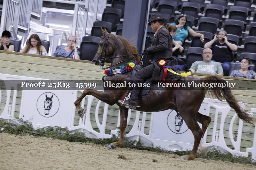 Proof Number 25R13_15599