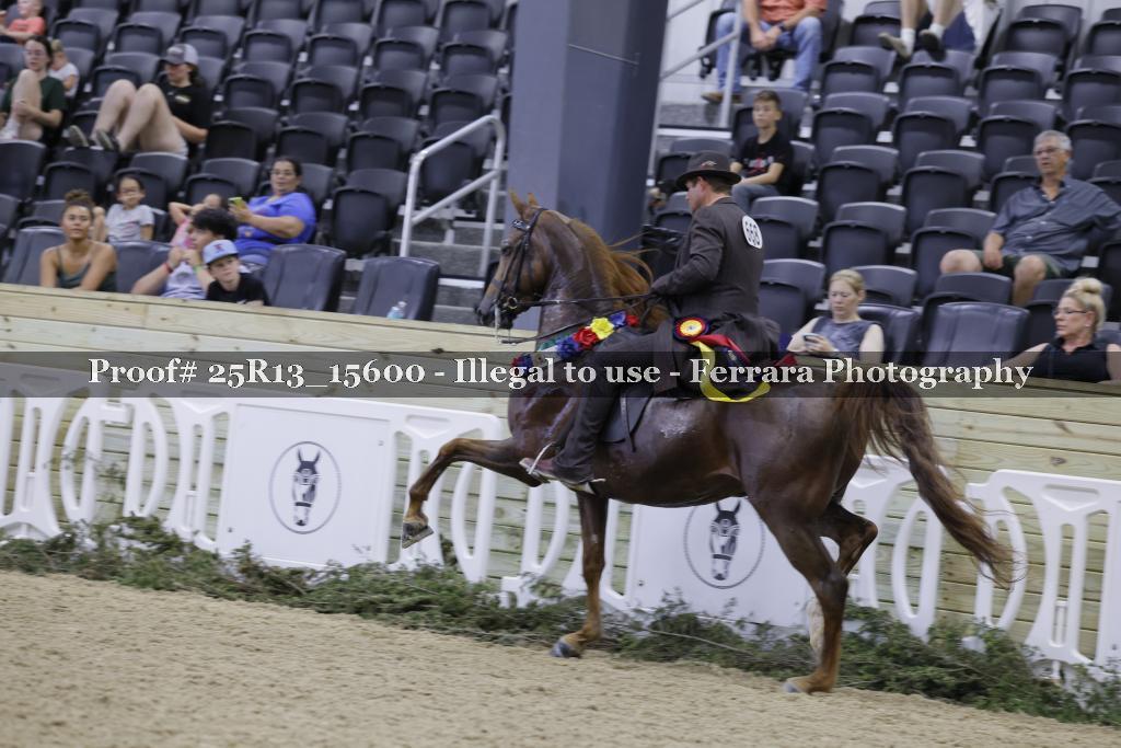 Proof Number 25R13_15600