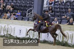 25R13_15600 thumbnail
