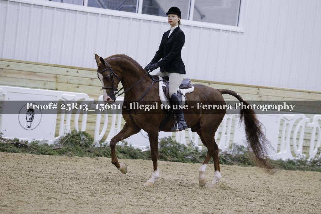 Proof Number 25R13_15601