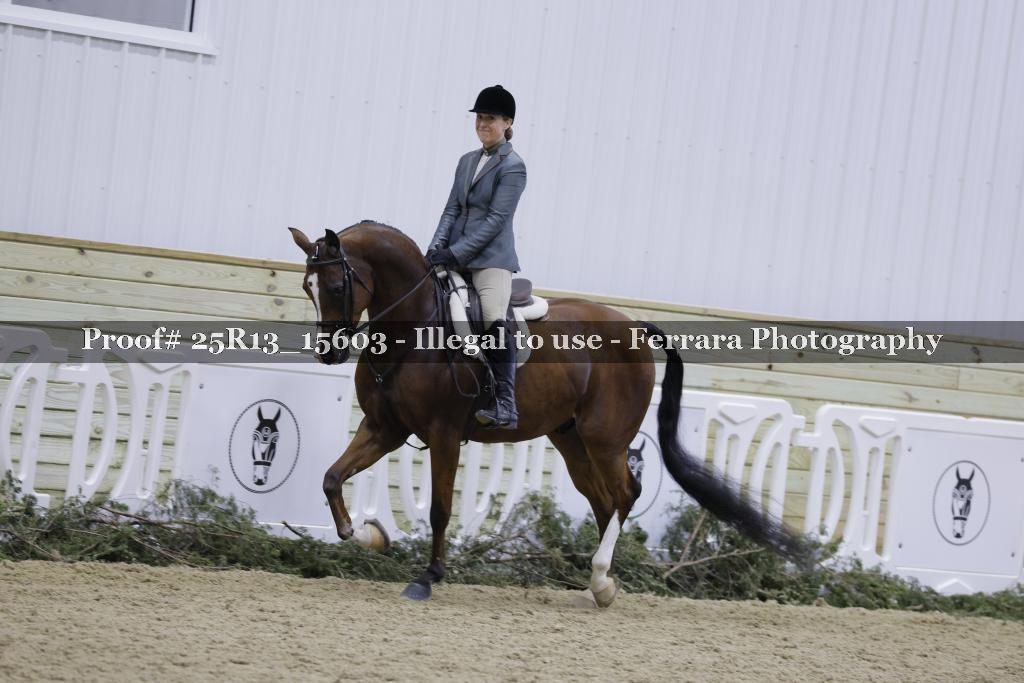 Proof Number 25R13_15603