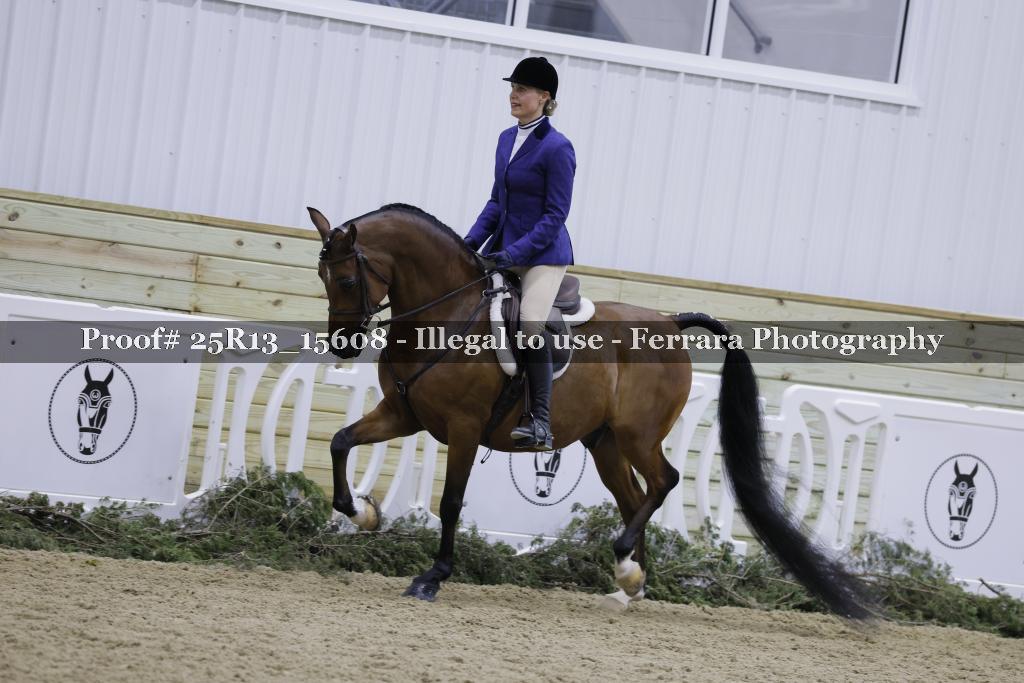 Proof Number 25R13_15608