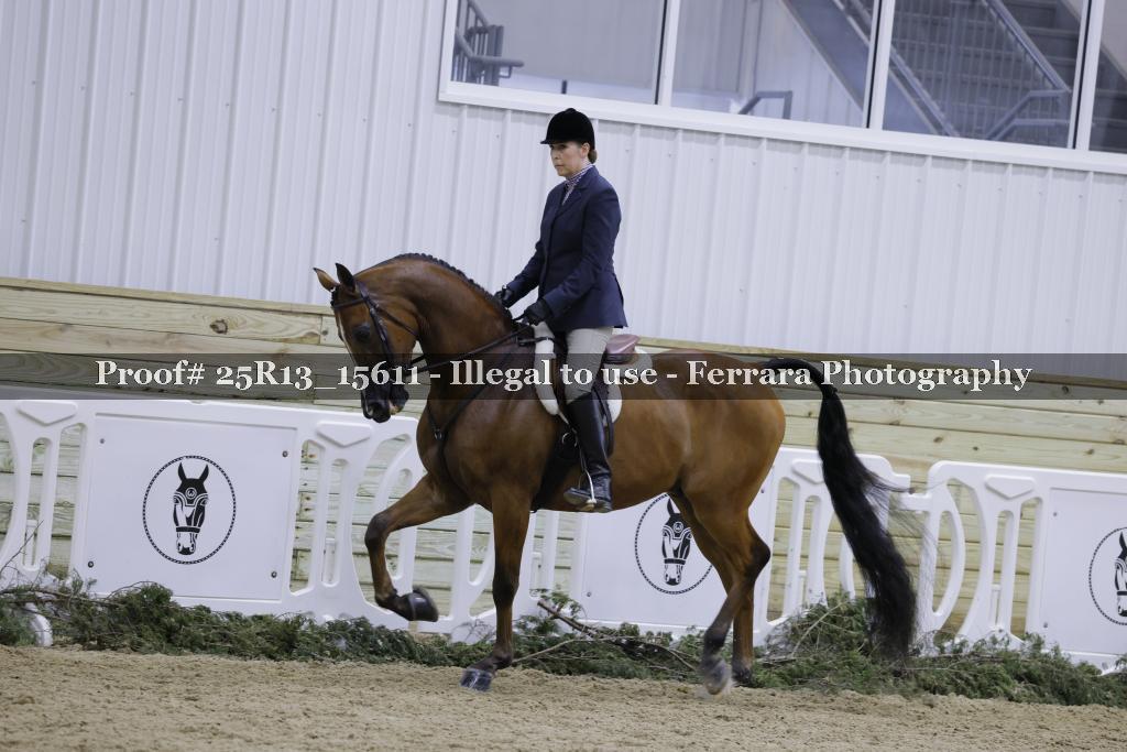 Proof Number 25R13_15611