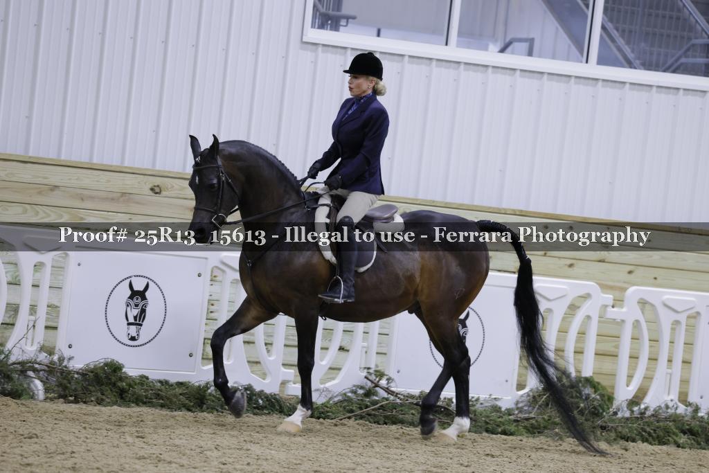 Proof Number 25R13_15613