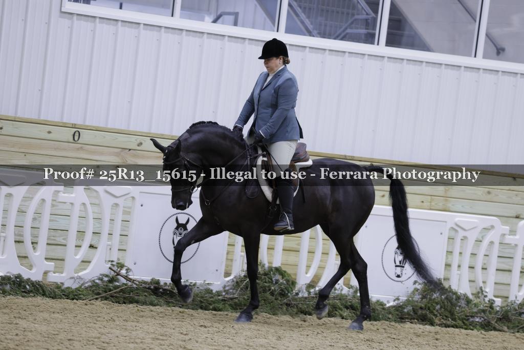 Proof Number 25R13_15615