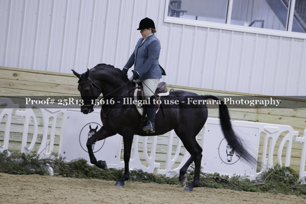 Proof Number 25R13_15616