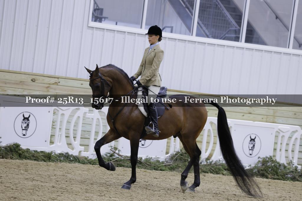 Proof Number 25R13_15617