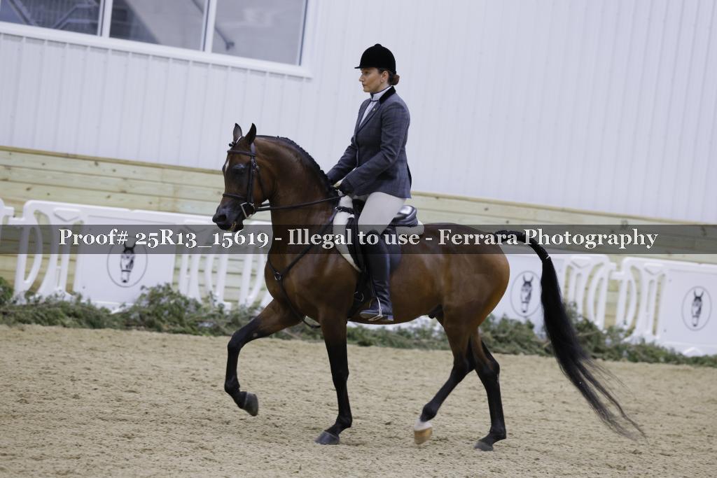 Proof Number 25R13_15619