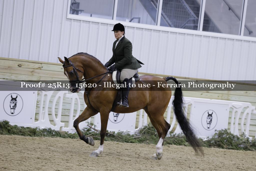 Proof Number 25R13_15620