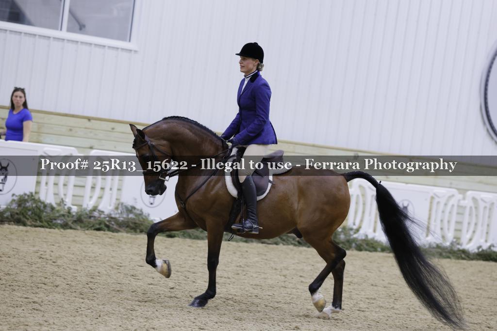 Proof Number 25R13_15622