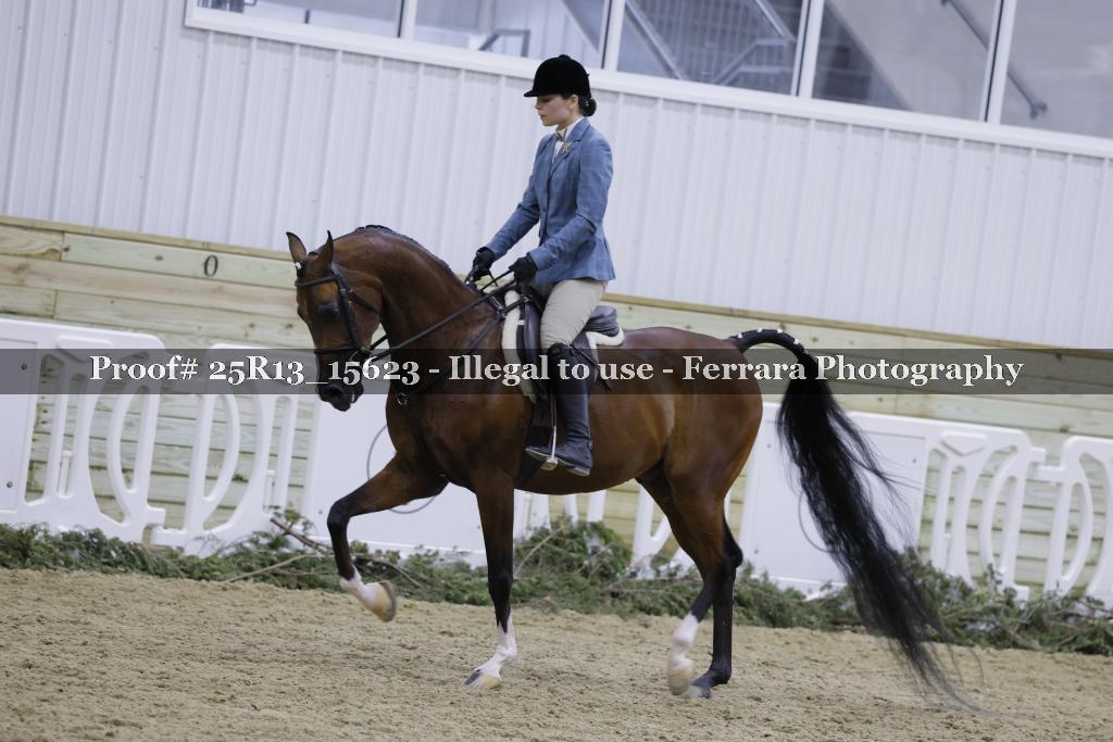Proof Number 25R13_15623