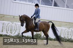25R13_15623 thumbnail