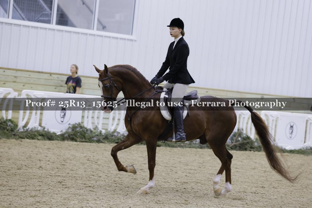 Proof Number 25R13_15625