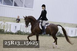 25R13_15625 thumbnail