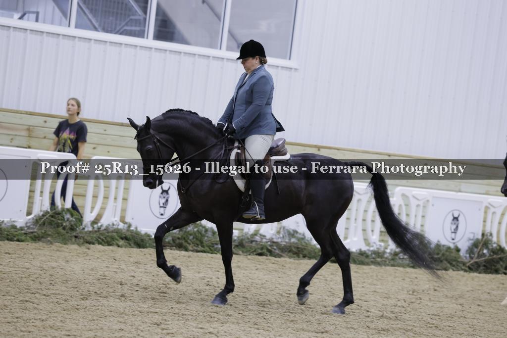 Proof Number 25R13_15626