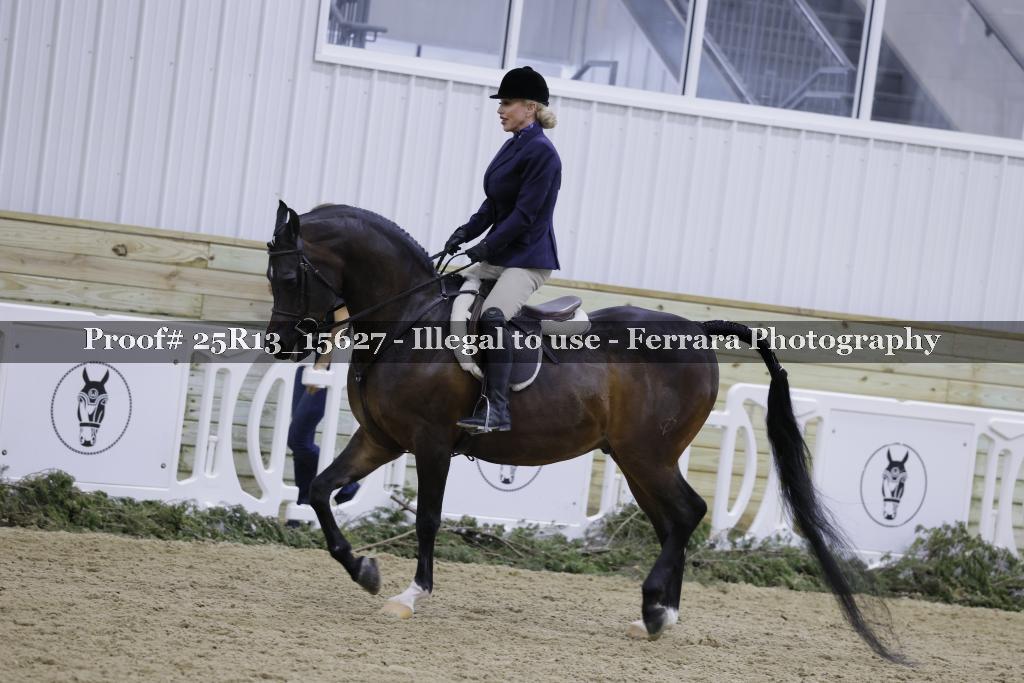 Proof Number 25R13_15627