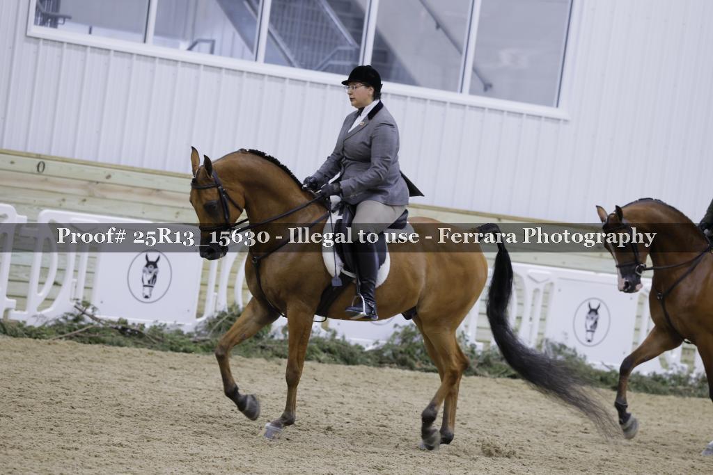 Proof Number 25R13_15630