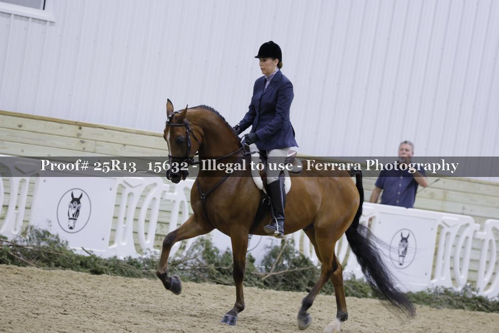 Proof Number 25R13_15632