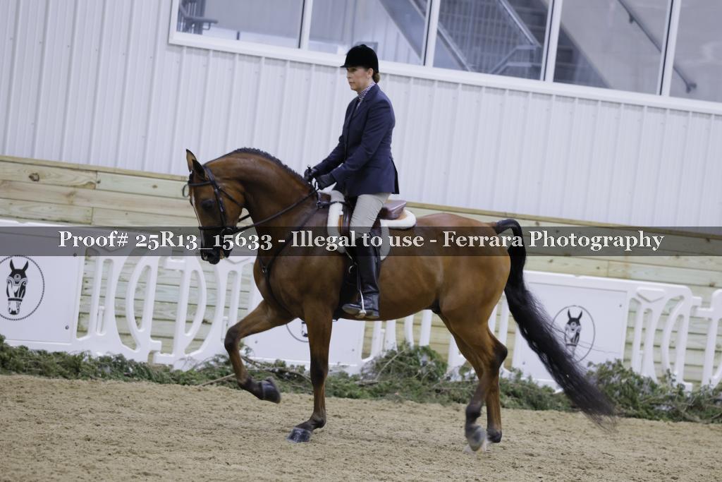 Proof Number 25R13_15633