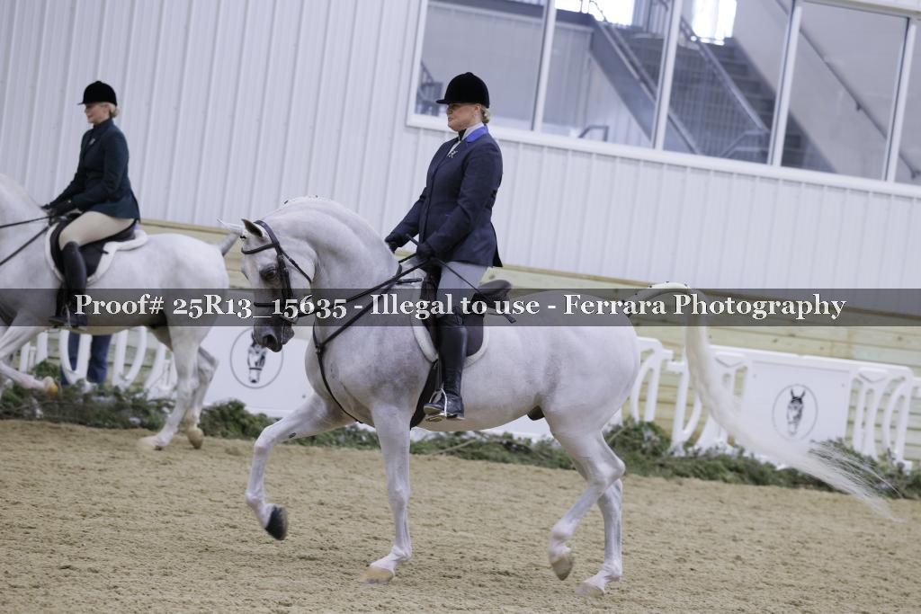 Proof Number 25R13_15635