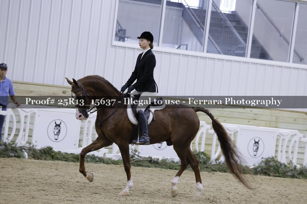 Proof Number 25R13_15637