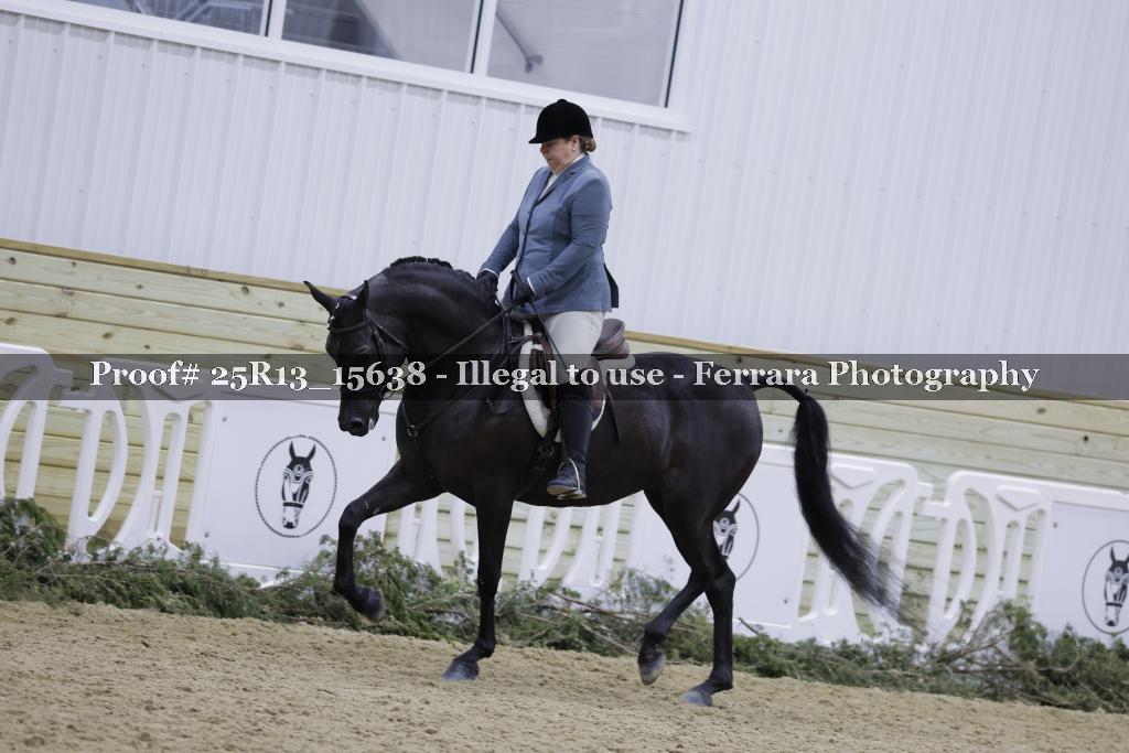 Proof Number 25R13_15638