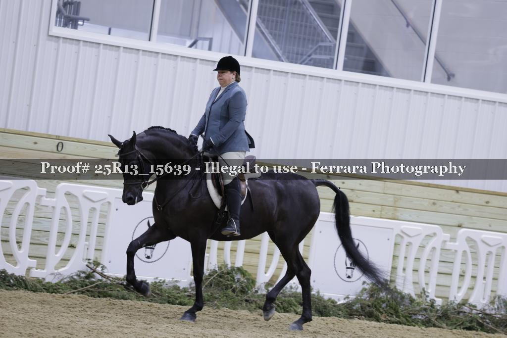 Proof Number 25R13_15639