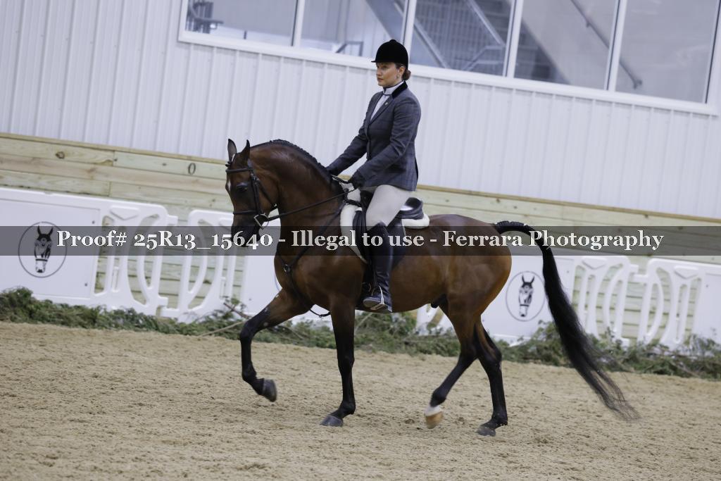 Proof Number 25R13_15640