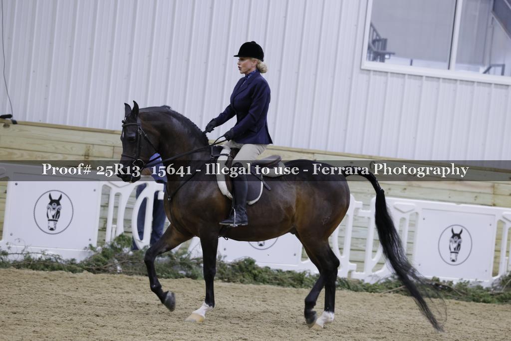 Proof Number 25R13_15641