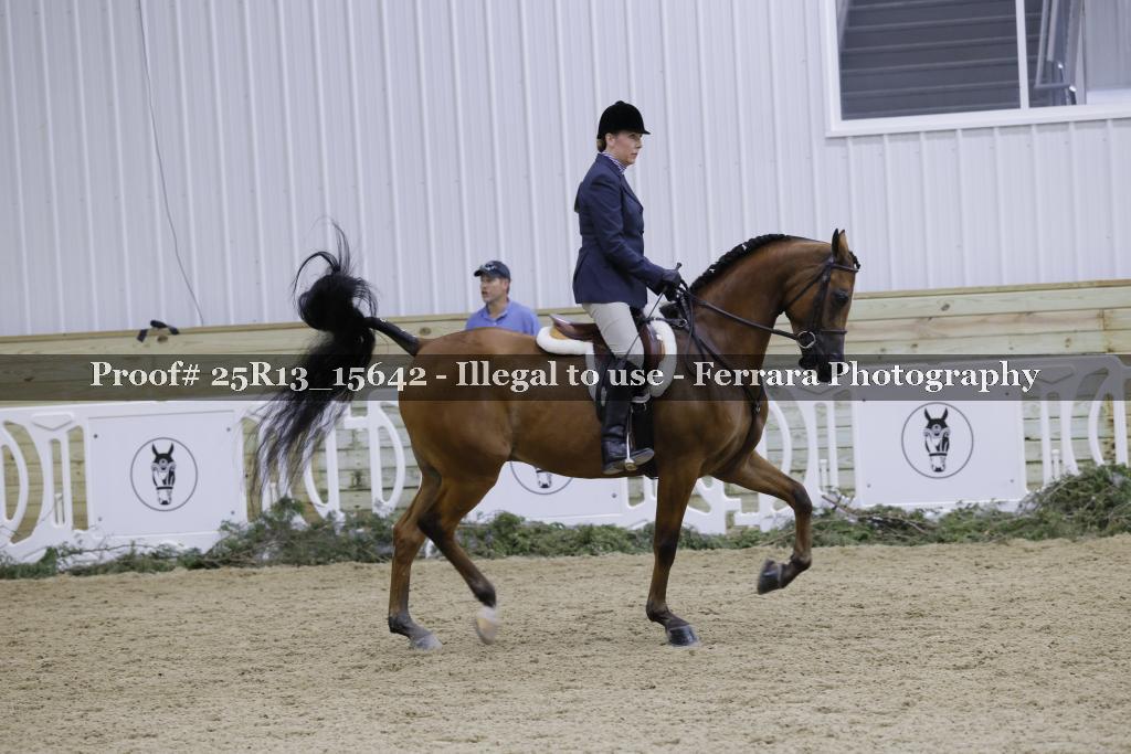 Proof Number 25R13_15642
