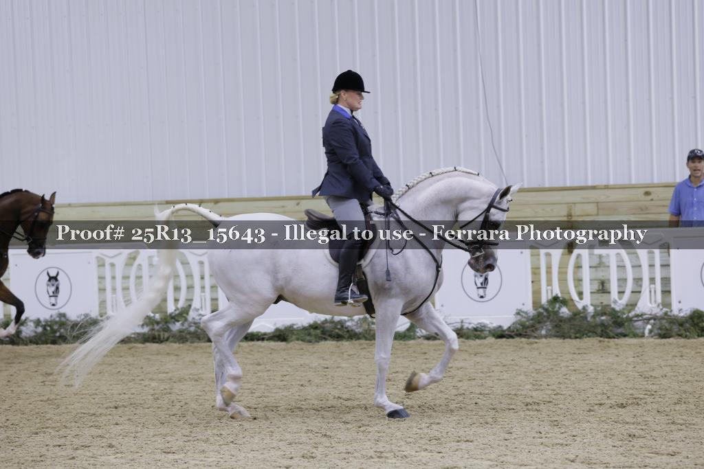 Proof Number 25R13_15643