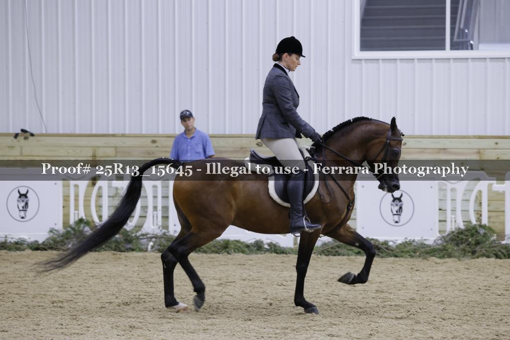 Proof Number 25R13_15645