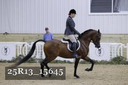 25R13_15645 thumbnail