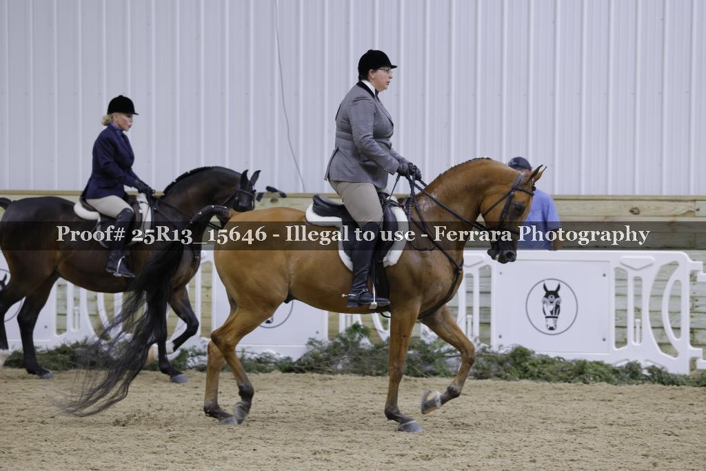 Proof Number 25R13_15646