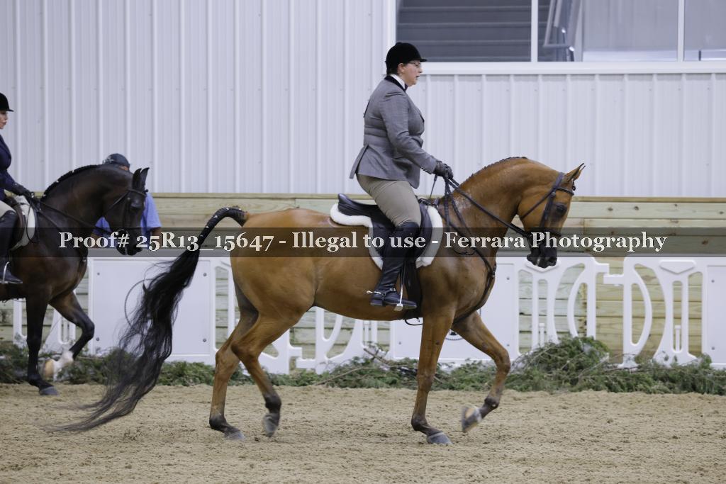 Proof Number 25R13_15647
