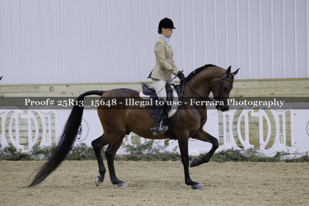 Proof Number 25R13_15648