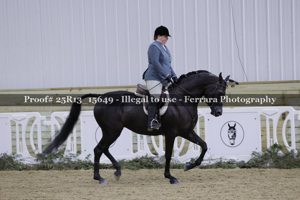 Proof Number 25R13_15649