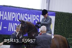 25R13_15657 thumbnail